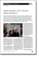 No. 123: Israeli Perspectives on the Arab Uprisings