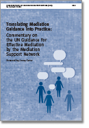 Translating Mediation Guidance into Practice